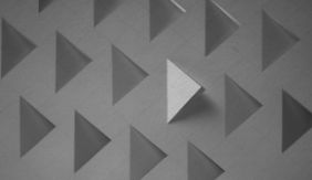 DZP  | Compliance